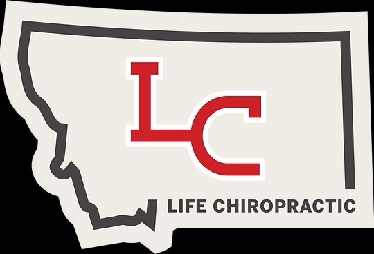 Official Chiropractor of the PaddleHeads